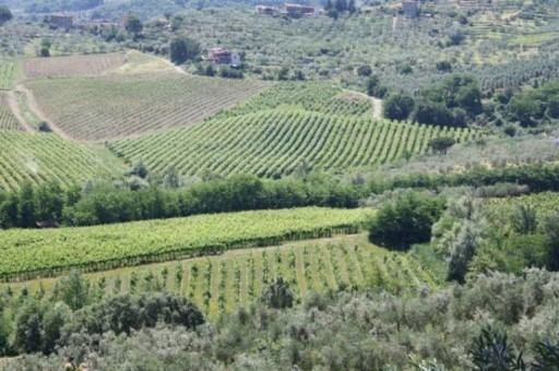 Colonica Quarrata  VENDITA