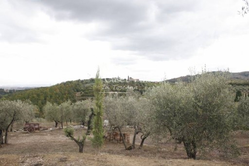 Colonica Carmignano  VENDITA