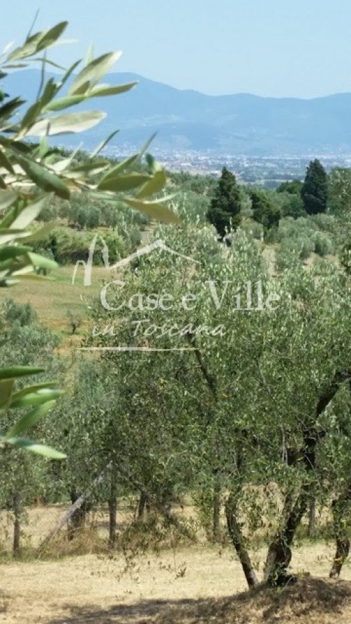 Colonica Carmignano  VENDITA