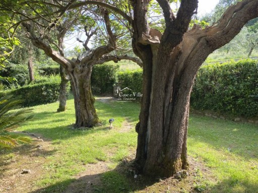 Appartamento Pistoia  VENDITA