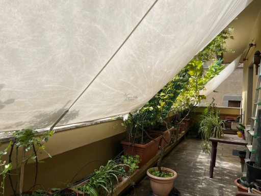 Appartamento Prato  VENDITA