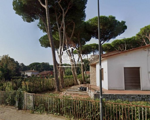Villa Marina di Pietrasanta  VENDITA